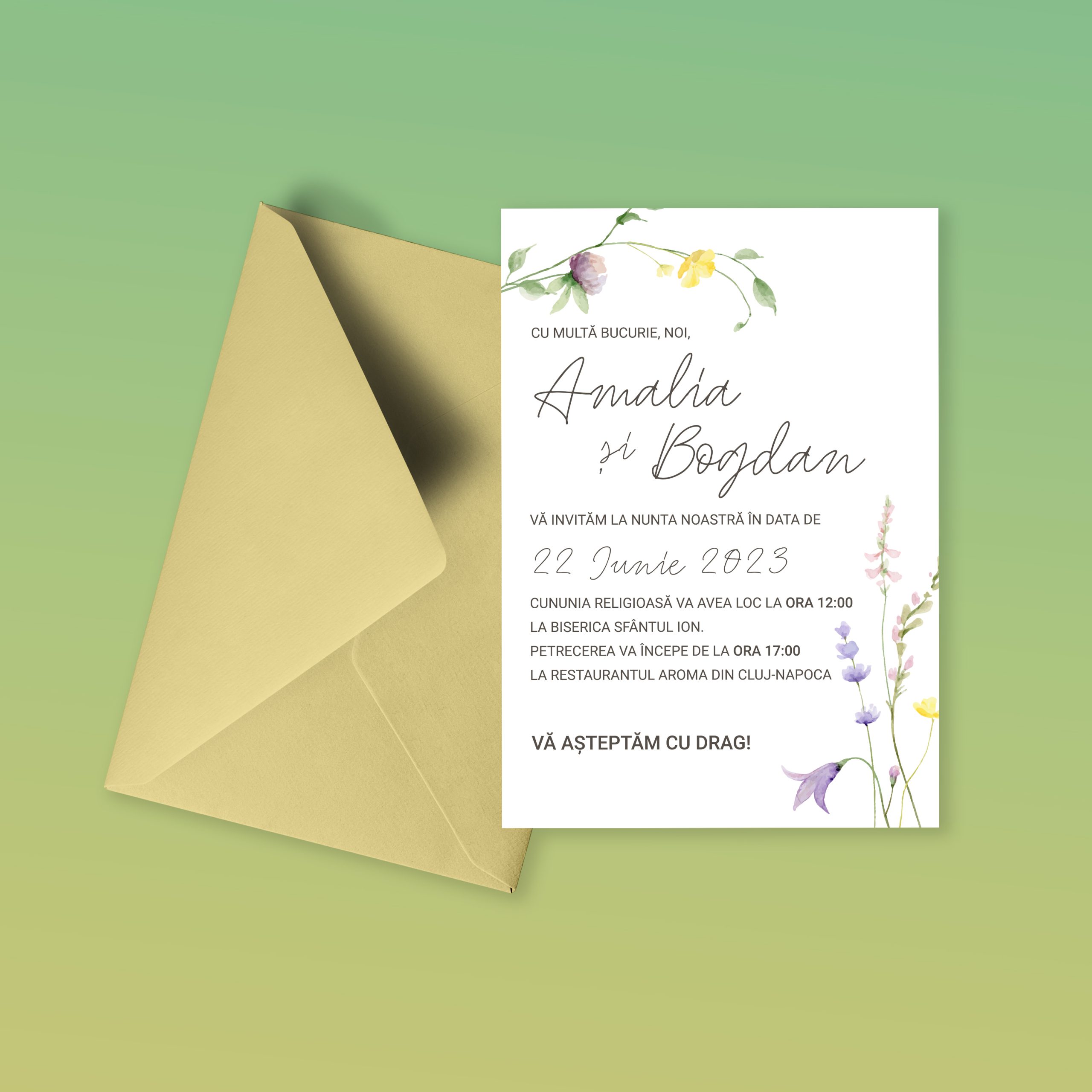 amalia si bogdan n2